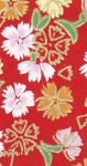 Oeillets sur fond rouge Oeillets sur fond rouge