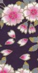 Fleurs de cerisier rose sur fond violet Fleurs de cerisier rose sur fond violet